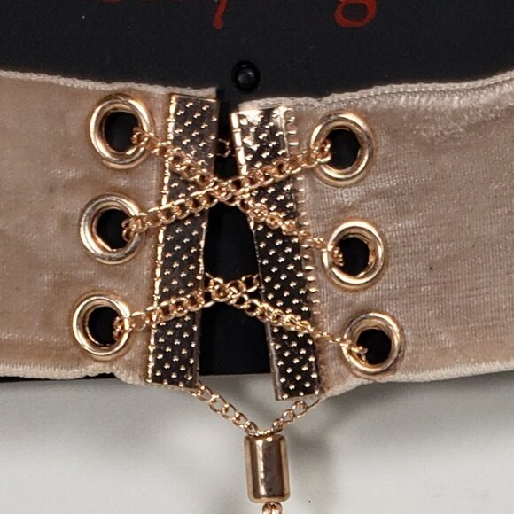 Salmon Necktie Lace-up Chocker and Long Rose Gold Tone Crystal Tassel Necklace - Picture 5 of 7